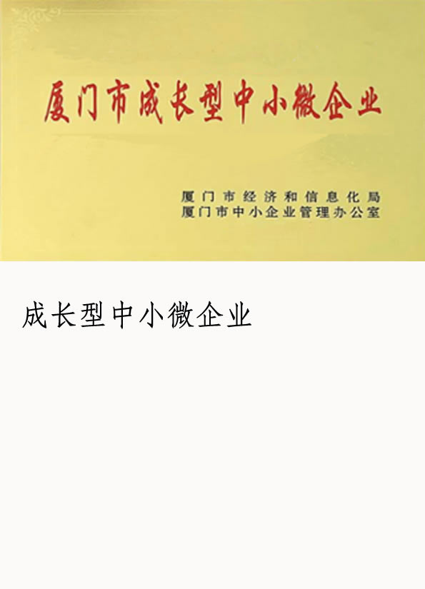 企業(yè)榮譽-成長型中小微企業(yè)